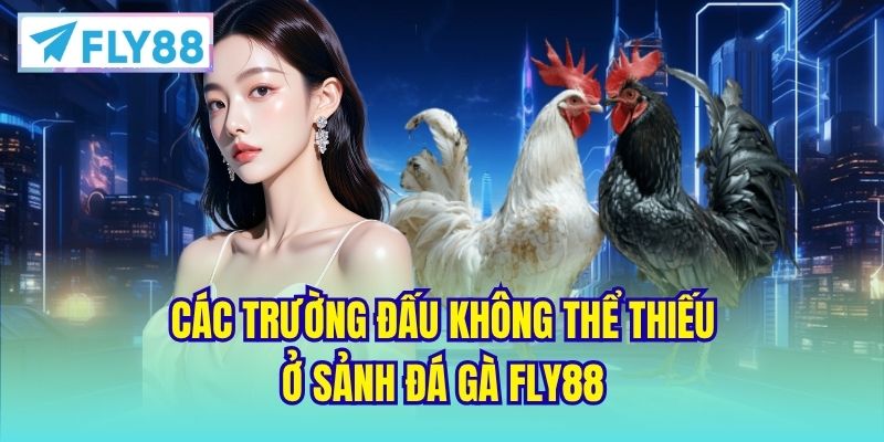 Các trường đấu không thể thiếu ở sảnh Đá Gà FLY88