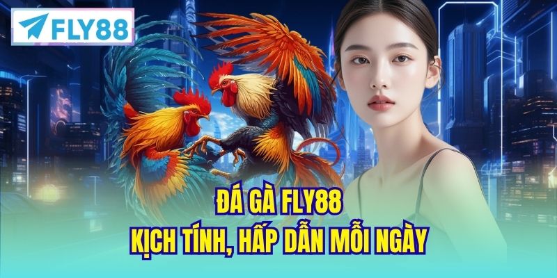Đá Gà FLY88 kịch tính, hấp dẫn mỗi ngày