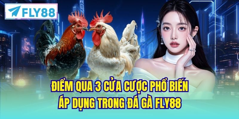 Điểm qua 3 cửa cược phổ biến áp dụng trong đá gà FLY88